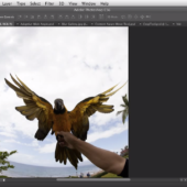 Adobe Photoshop 6 Beta
