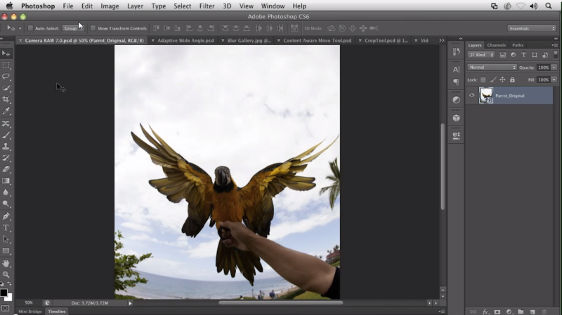 Adobe Photoshop 6 Beta