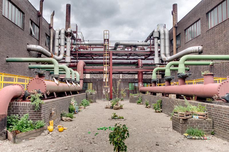 Urban gardening, Kokerei, Zollverein Essen